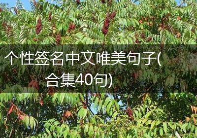 个性签名中文唯美句子(合集40句)