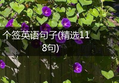 个签英语句子(精选118句)