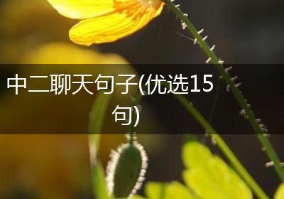 中二聊天句子(优选15句)