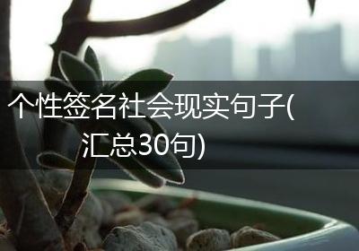 个性签名社会现实句子(汇总30句)
