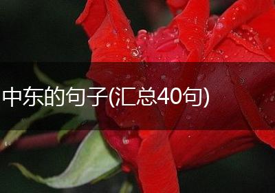 中东的句子(汇总40句)