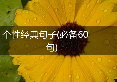 个性经典句子(必备60句)
