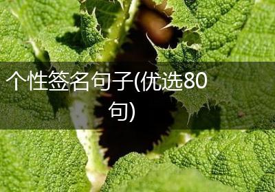 个性签名句子(优选80句)