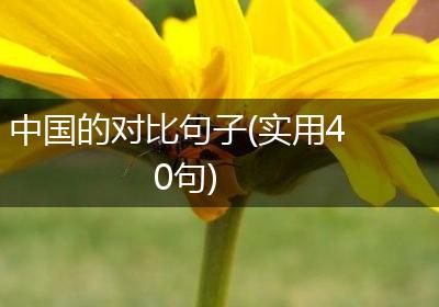 中国的对比句子(实用40句)