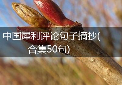 中国犀利评论句子摘抄(合集50句)