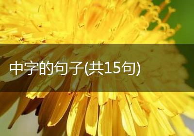 中字的句子(共15句)