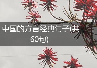中国的方言经典句子(共60句)