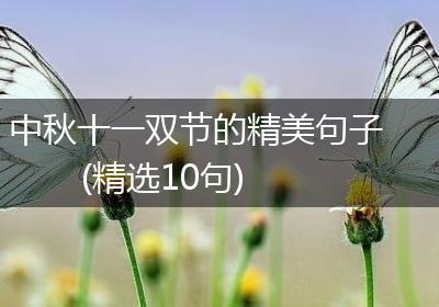 中秋十一双节的精美句子(精选10句)
