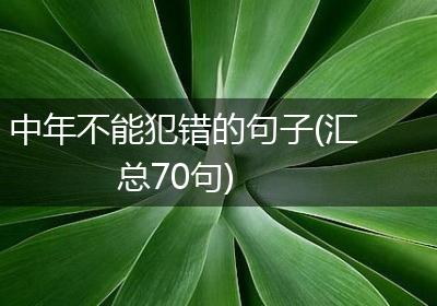 中年不能犯错的句子(汇总70句)