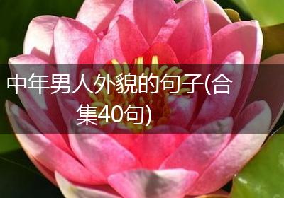 中年男人外貌的句子(合集40句)