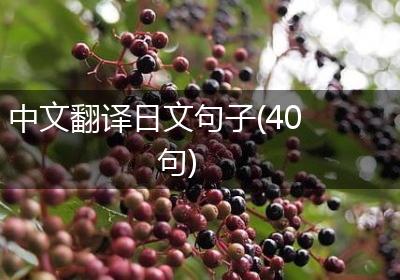 中文翻译日文句子(40句)