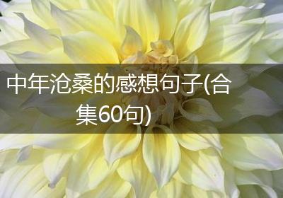 中年沧桑的感想句子(合集60句)