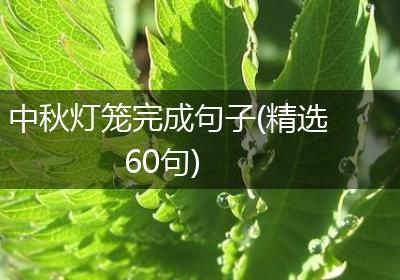 中秋灯笼完成句子(精选60句)