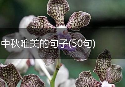 中秋唯美的句子(50句)