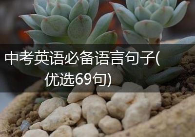 中考英语必备语言句子(优选69句)