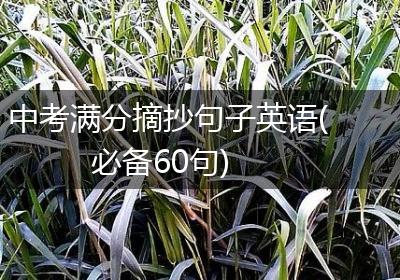 中考满分摘抄句子英语(必备60句)