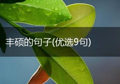 丰硕的句子(优选9句)