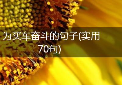 为买车奋斗的句子(实用70句)