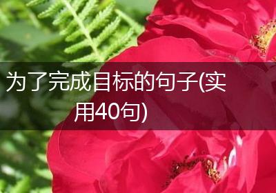 为了完成目标的句子(实用40句)