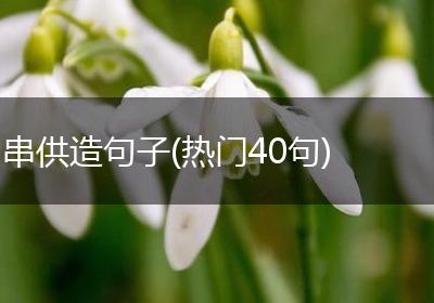 串供造句子(热门40句)