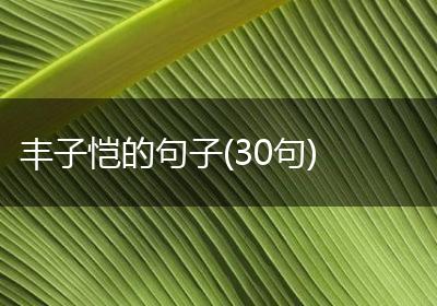 丰子恺的句子(30句)