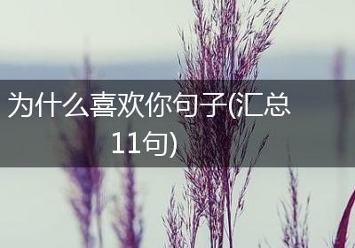 为什么喜欢你句子(汇总11句)