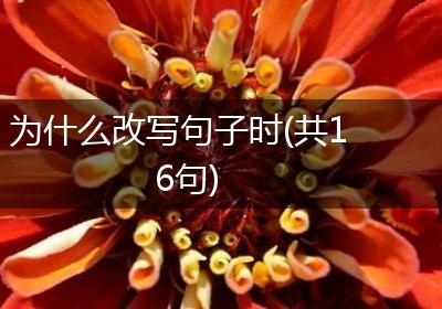 为什么改写句子时(共16句)
