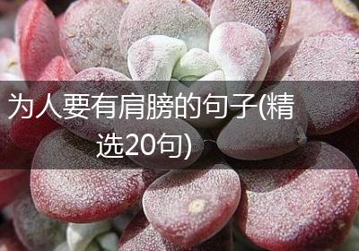 为人要有肩膀的句子(精选20句)
