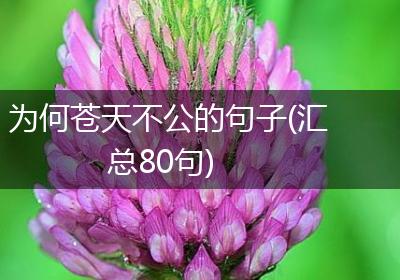 为何苍天不公的句子(汇总80句)