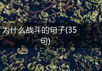为什么战斗的句子(35句)