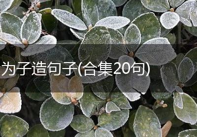 为子造句子(合集20句)