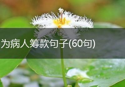 为病人筹款句子(60句)