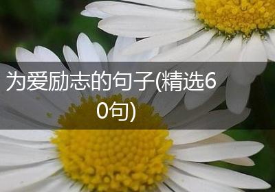 为爱励志的句子(精选60句)