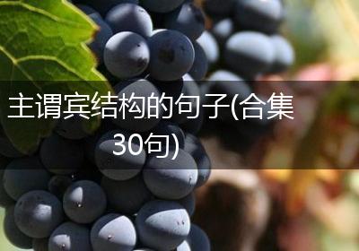 主谓宾结构的句子(合集30句)