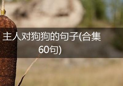 主人对狗狗的句子(合集60句)