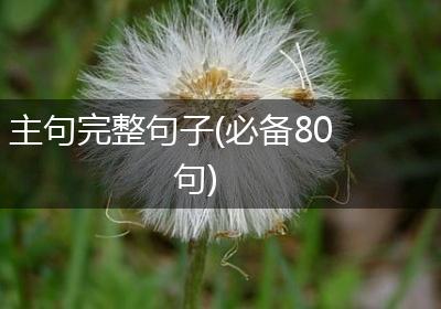 主句完整句子(必备80句)