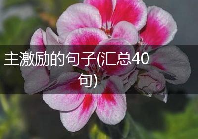 主激励的句子(汇总40句)