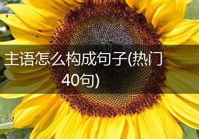 主语怎么构成句子(热门40句)