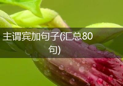 主谓宾加句子(汇总80句)