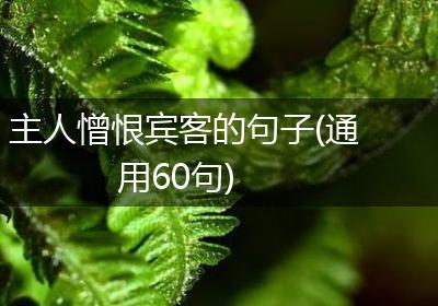 主人憎恨宾客的句子(通用60句)