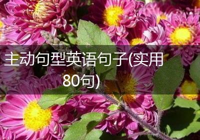 主动句型英语句子(实用80句)