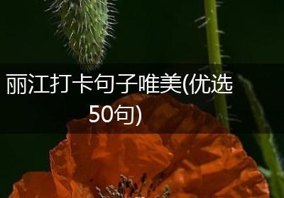 丽江打卡句子唯美(优选50句)