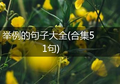 举例的句子大全(合集51句)