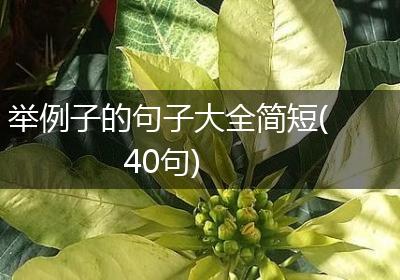 举例子的句子大全简短(40句)