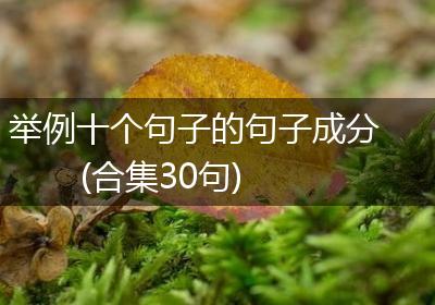 举例十个句子的句子成分(合集30句)