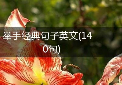 举手经典句子英文(140句)