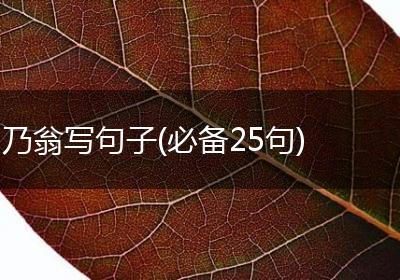 乃翁写句子(必备25句)