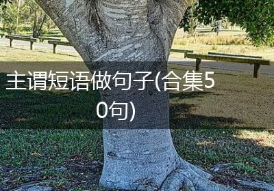 主谓短语做句子(合集50句)