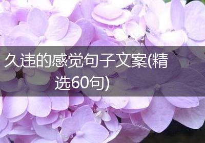久违的感觉句子文案(精选60句)