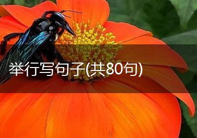 举行写句子(共80句)
